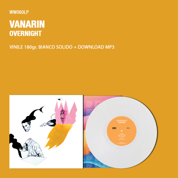 mock-up-vinile-vanarin